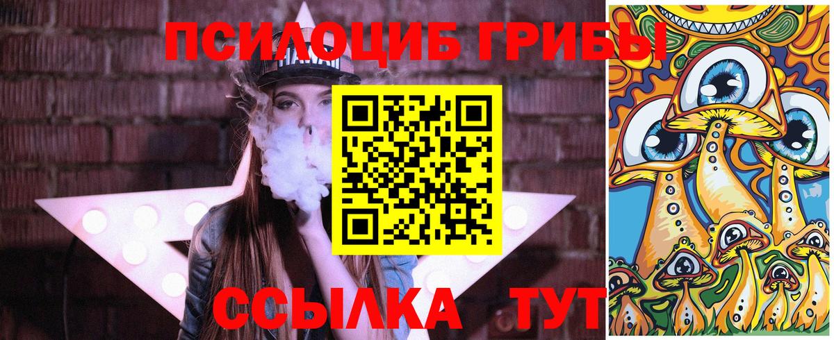 Галлюциногенные грибы GOLDEN TEACHER Домодедово