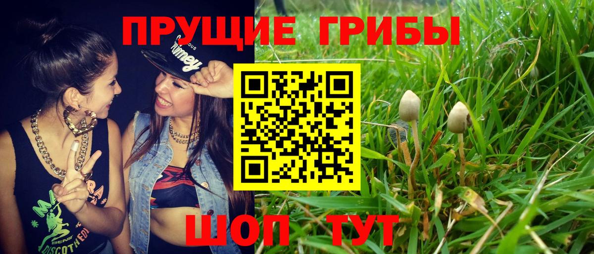 Домодедово  Псилоцибиновые грибы Magic Shrooms  где купить наркотик  Вход с VPN 